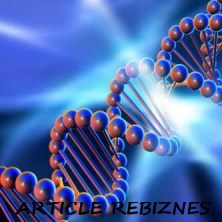 Ученые доказали, что может быть создан ДНК-компьютер