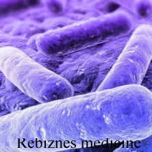 Теиксобактин -  убивает любую бактерию без особого труда