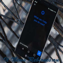 Cortana уже доступна для бета-тестирования Android - сообществе