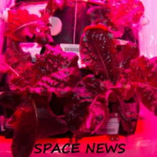 На Международной космической станции будут есть космические овощи в первый раз 