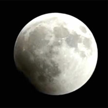 19 марта будет видна Супер Луна! В это время Луна будет особенно большой.